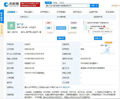 小米落子重慶，成立產(chǎn)融大數(shù)據(jù)公司，布局區(qū)塊鏈與數(shù)據(jù)處理服務(wù)